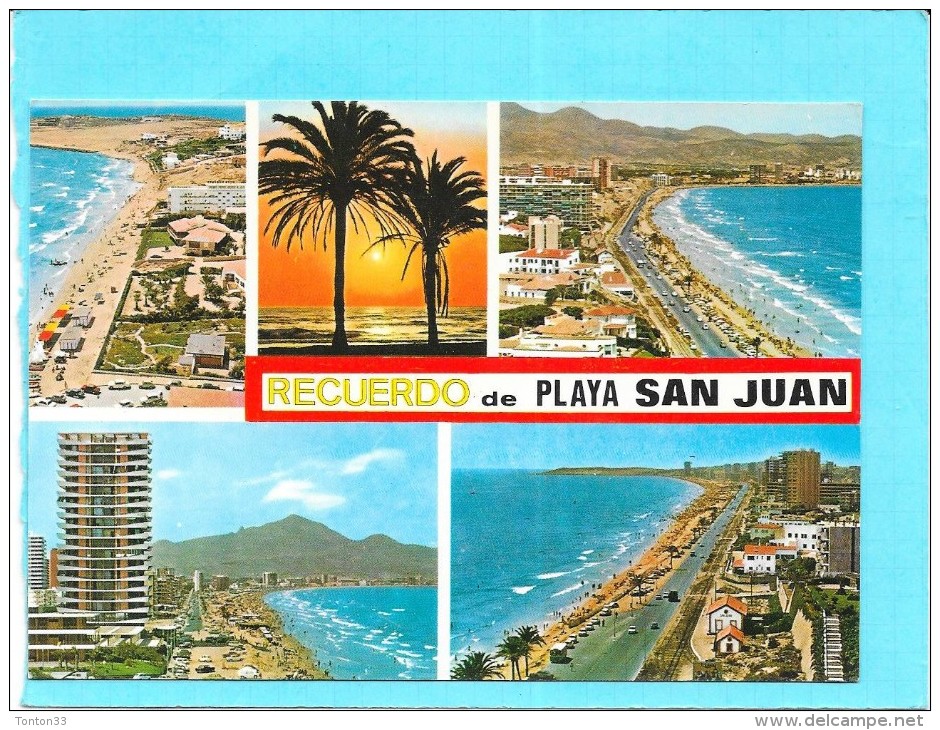 ESPAGNE  -   RECUERDO DE¨PLAYA SAN JUAN - MULTIVUES - 5 Vues - ENCH2011 - - Perejil