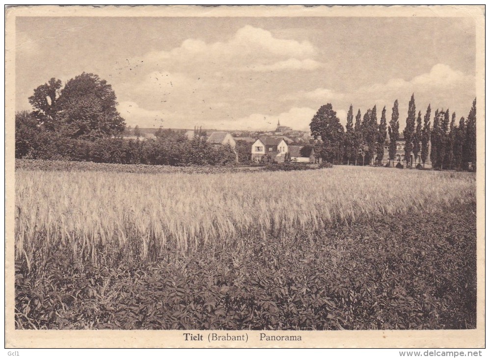 Tielt - Brabant  - Panorama - Tielt-Winge