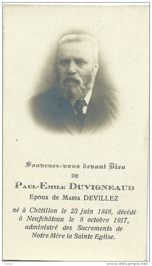 Souvenir Mortuaire - Paul-Emile Duvigneaud, Né à Châtillon En 1848 Et Décédé à Neufchâteau En 1917 - Décès