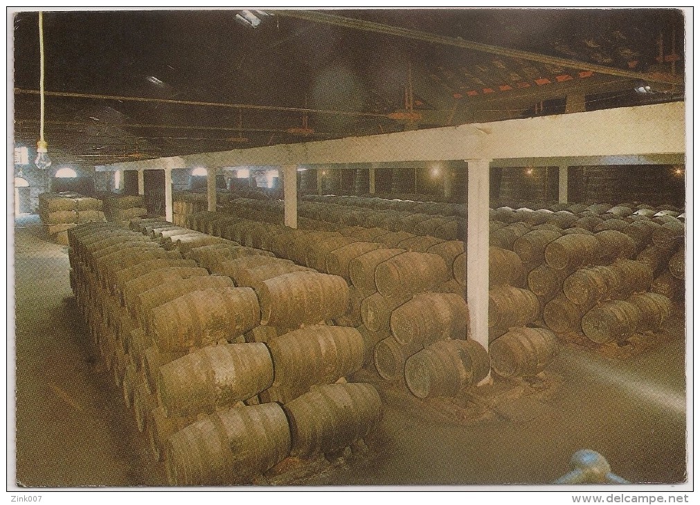 Postal Portugal - Postal Convite - Vinho Do Porto Real Vinicola - Armazens De Envelhecimento De Vinho Do Porto - Caves - Vila Real