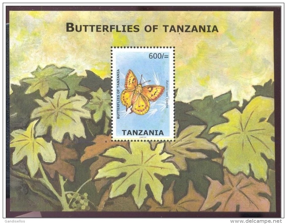 TANZANIA SHEET BUTTERFLIES OF TANZANIA INSECTS PAPILLONS DU TANZANIE INSECTES MARIPOSAS INSECTOS - Vlinders