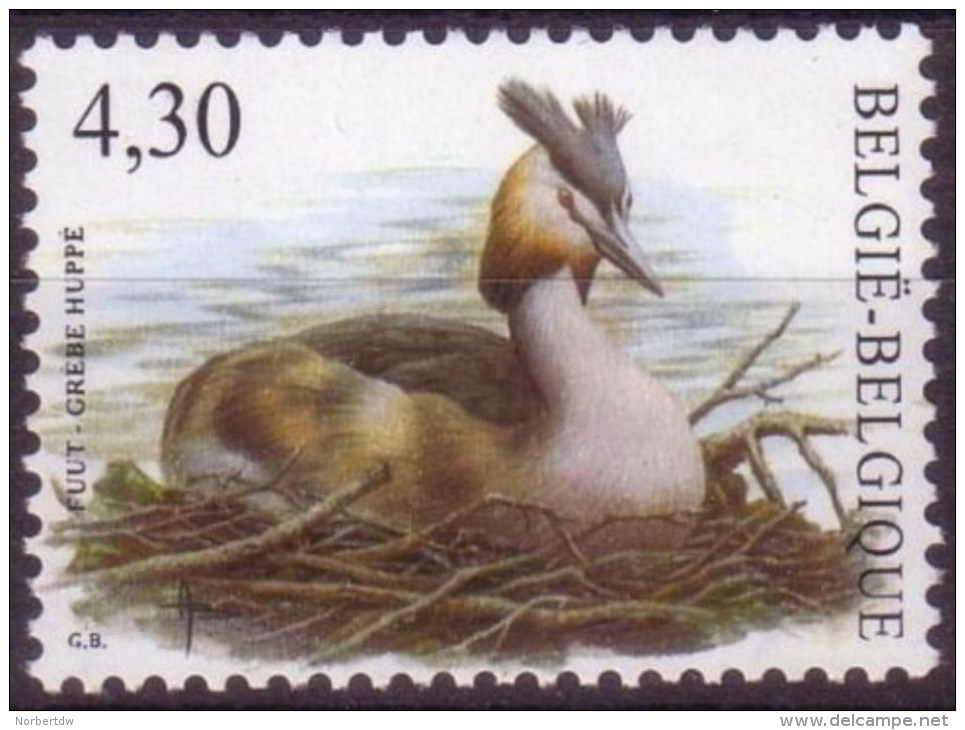 Belgium**GREAT CRESTED GREBE-Podiceps Cristatus-Birds-BUZIN-2006-MNH-oiseau-vogel-aves-ucelli - Unused Stamps