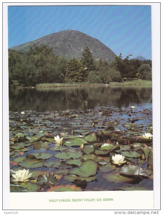 Sally Lough, Deep In The Spectacular Silent Valley  - County Down - Northern Ireland - Down