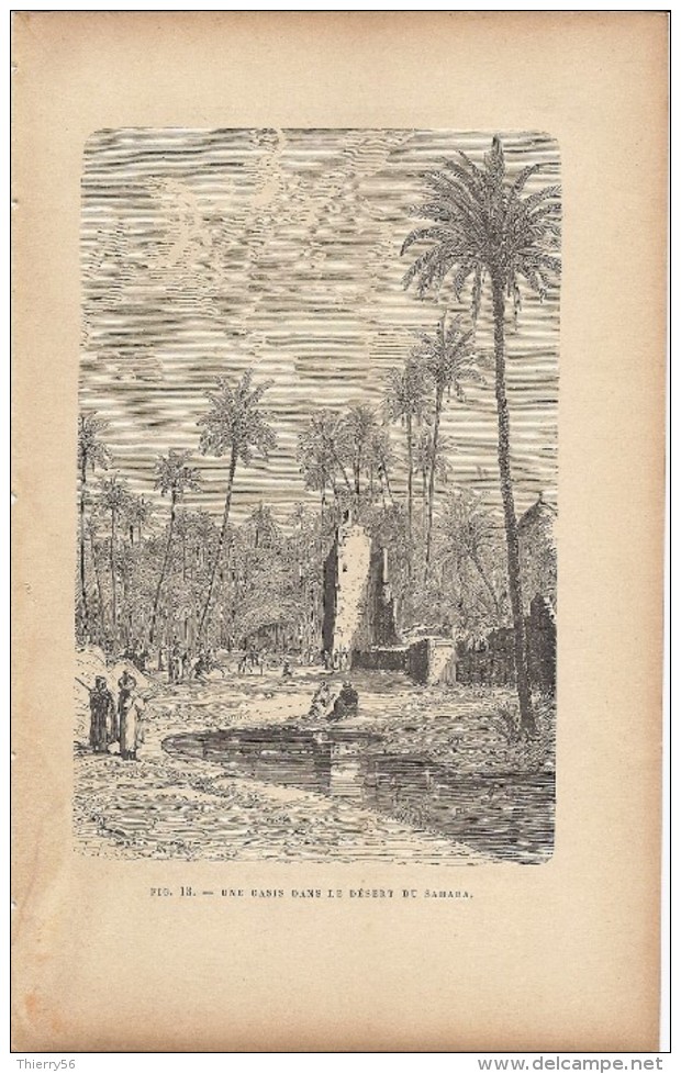 Une Oasis Dans Le Désert Du Sahara 1892 - Prints & Engravings