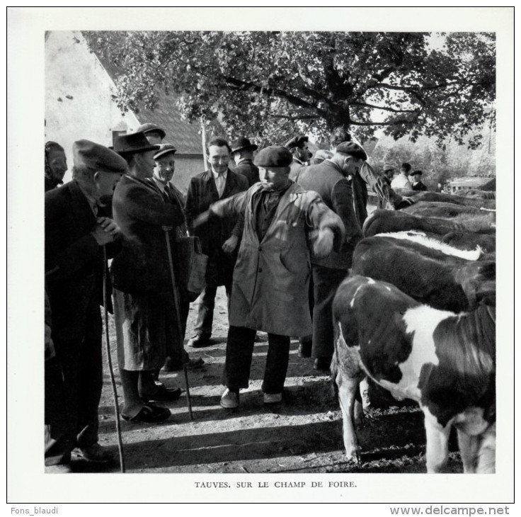 1955 - Héliogravure - Tauves (Puy-de-Dôme) - Sur Le Champs De Foire - FRANCO DE PORT - Non Classés