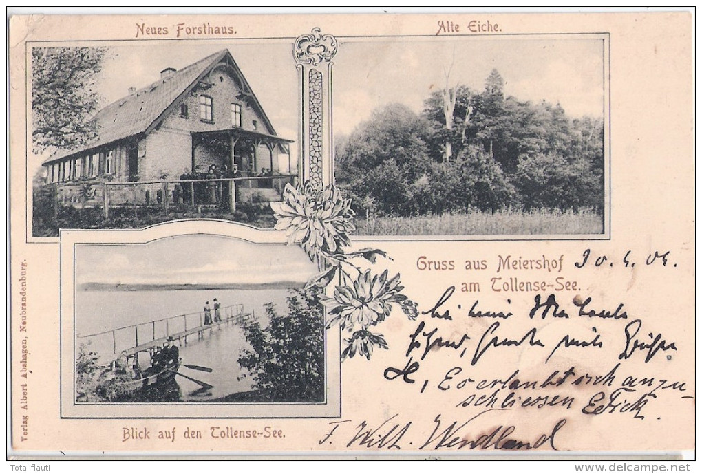 Gruss Aus Meiershof Forsthaus Am Tollensesee Neubrandenburg Gelaufen 2.5.1904 Mit Ortsstempel PENZLIN - Neubrandenburg