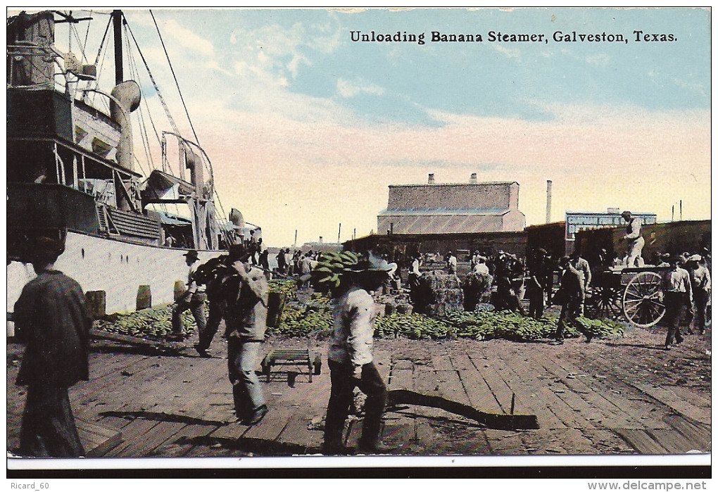 Cpa Usa, Galveston, Unloading Banana Steamer, Déchargement Des Bananes - Houston