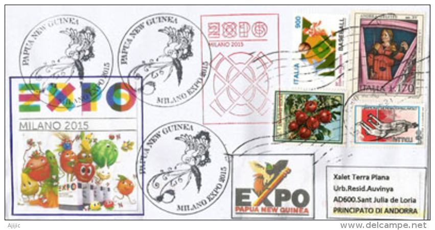 PAPUA NEW GUINEA/PAPOUASIE.UNIVERSAL EXPO MILAN 2015,NOURRIR LA PLANETE Lettre Du Pavillon, Avec Timbres Papouasie - 2015 – Milan (Italy)