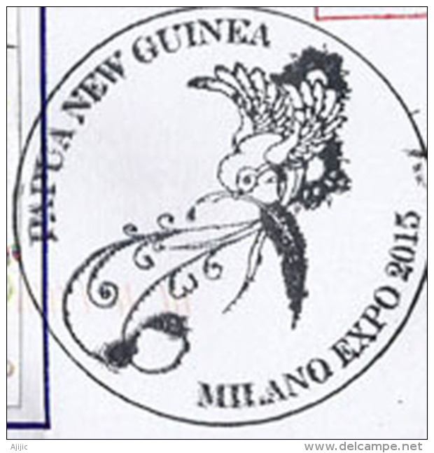 PAPUA NEW GUINEA/PAPOUASIE.UNIVERSAL EXPO MILAN 2015,NOURRIR LA PLANETE Lettre Du Pavillon, Avec Timbres Papouasie - 2015 – Milaan (Italië)