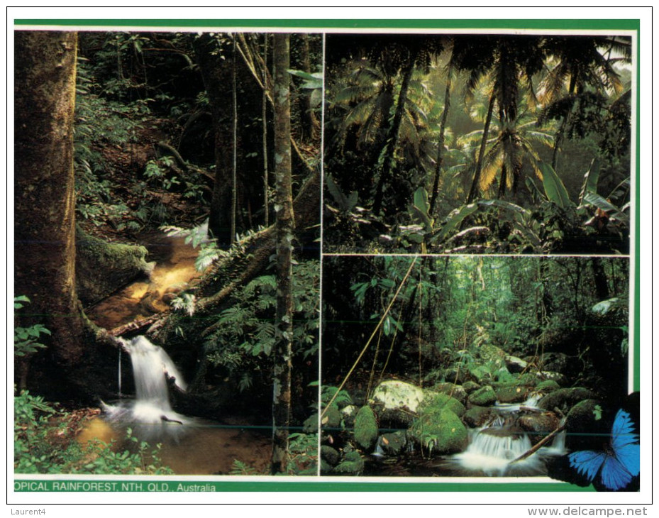 (393) Australia - QLD - Tropical Rainforest &  Waterfall - Far North Queensland