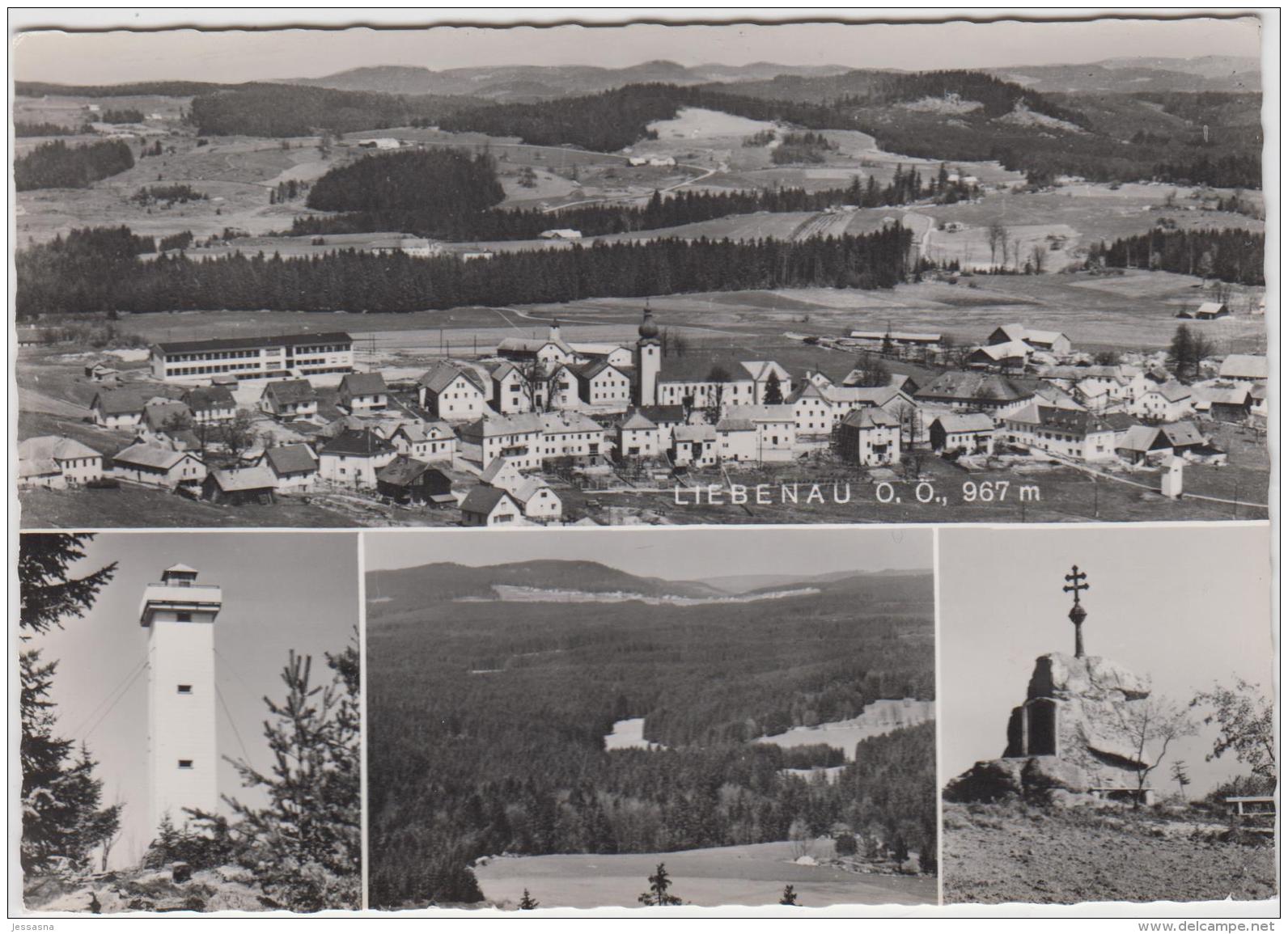 AK - Liebenau - Mehrbild - 1960 - Freistadt