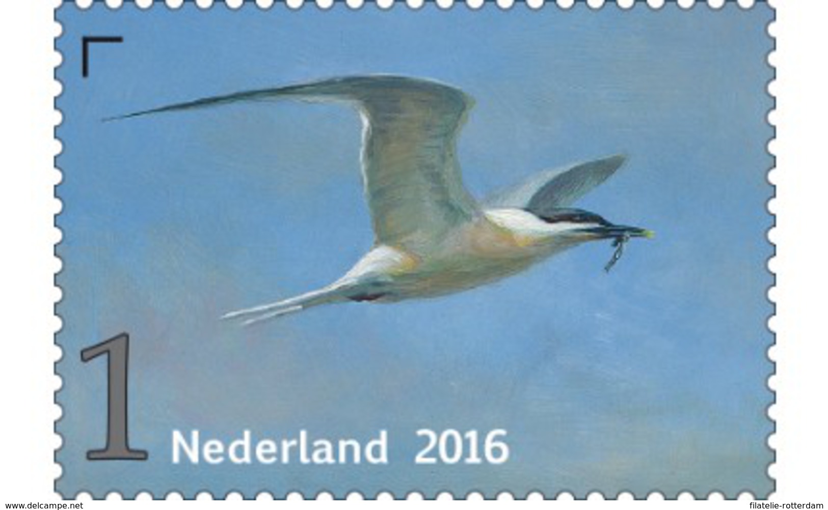 Nederland / The Netherlands - Postfris / MNH - Griend, Vogels Van Het Wad (1) 2016 - Nuevos