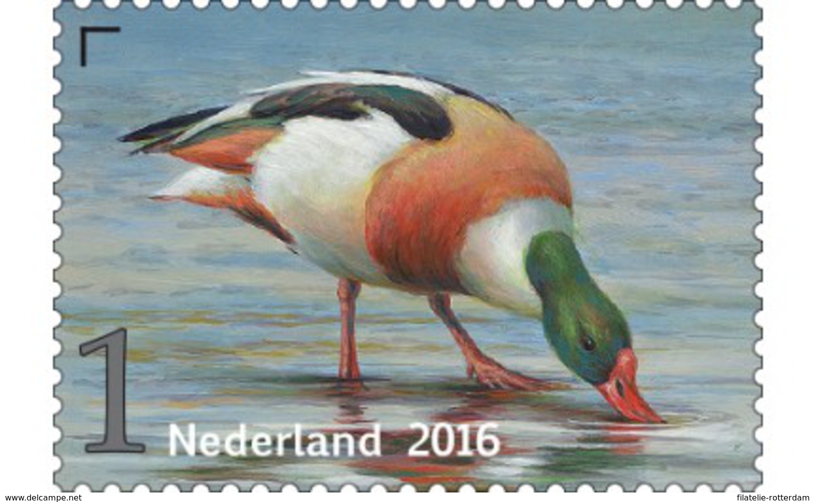 Nederland / The Netherlands - Postfris / MNH - Griend, Vogels Van Het Wad (2) 2016 - Unused Stamps