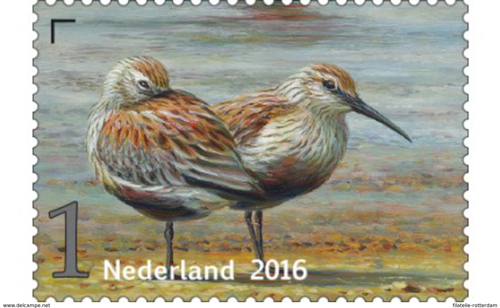 Nederland / The Netherlands - Postfris / MNH - Griend, Vogels Van Het Wad (3) 2016 - Neufs