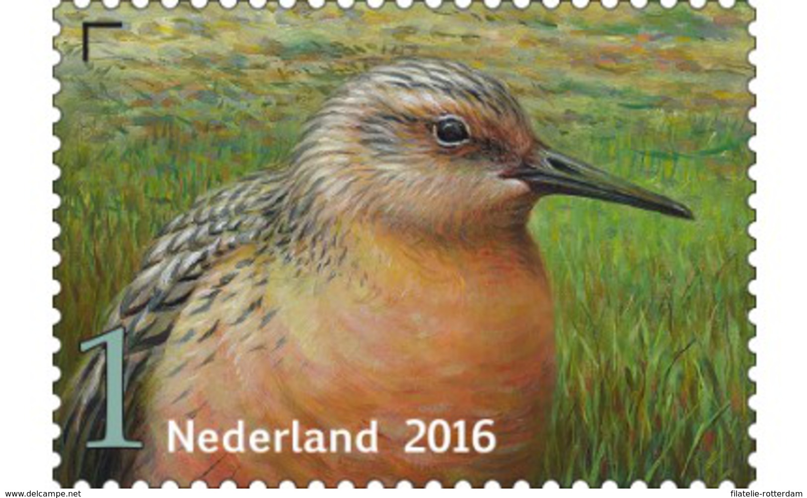 Nederland / The Netherlands - Postfris / MNH - Griend, Vogels Van Het Wad (5) 2016 - Nuovi