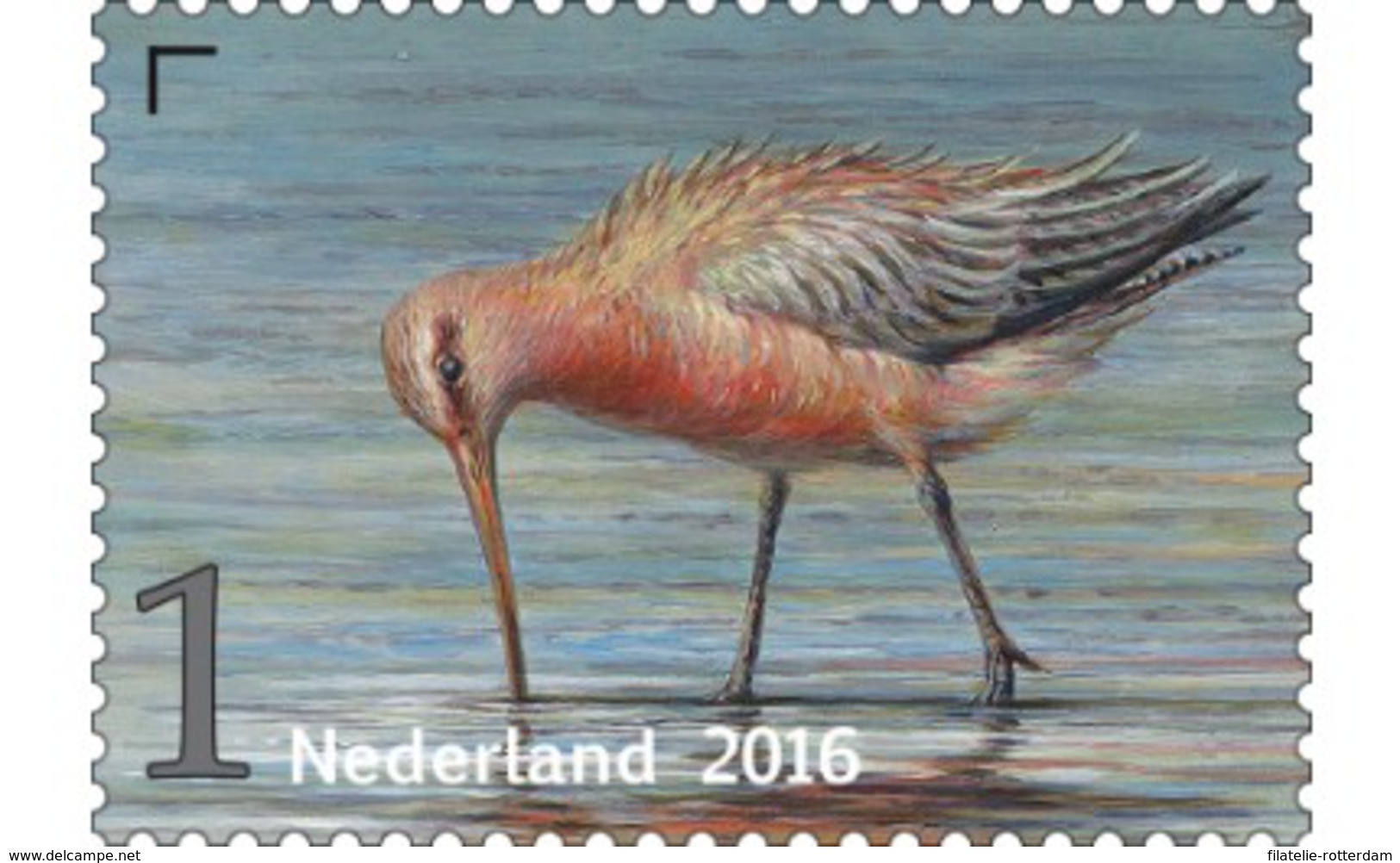 Nederland / The Netherlands - Postfris / MNH - Griend, Vogels Van Het Wad (7) 2016 - Neufs
