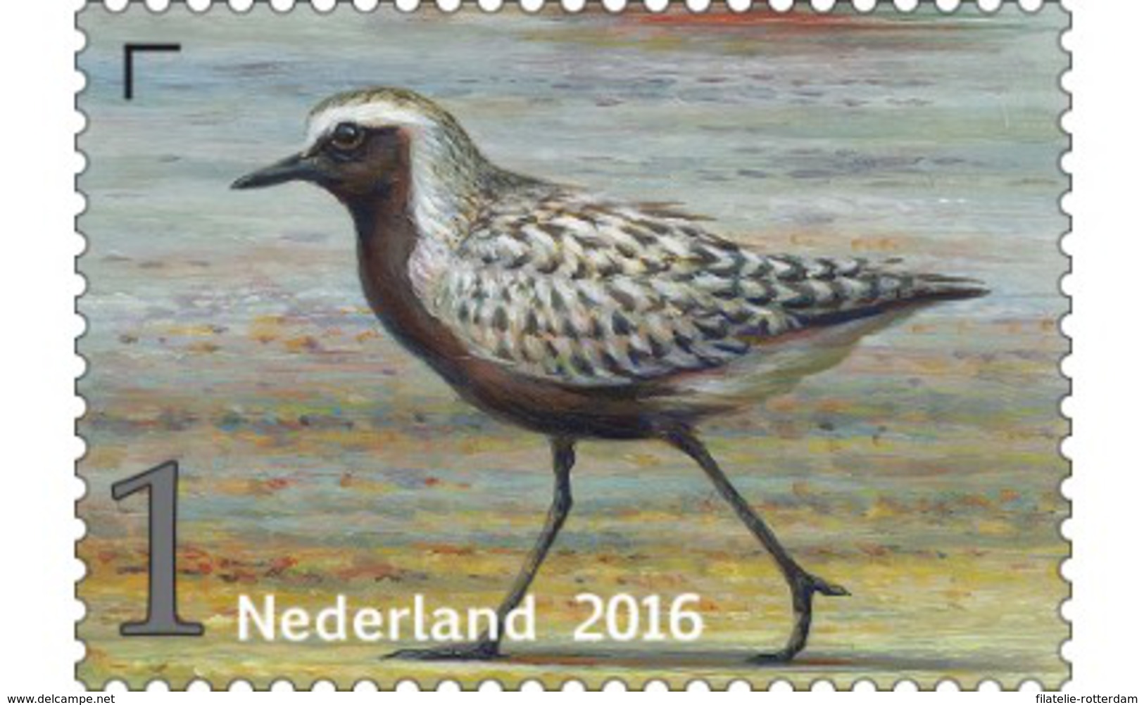 Nederland / The Netherlands - Postfris / MNH - Griend, Vogels Van Het Wad (8) 2016 - Nuevos