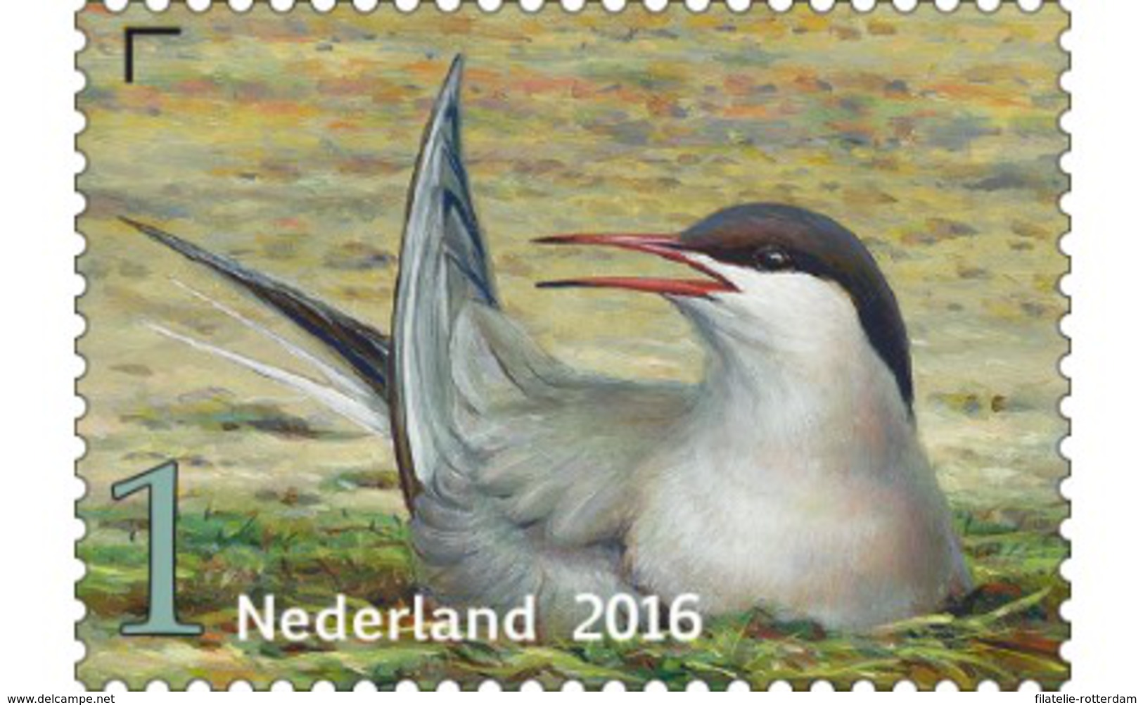 Nederland / The Netherlands - Postfris / MNH - Griend, Vogels Van Het Wad (9) 2016 - Unused Stamps