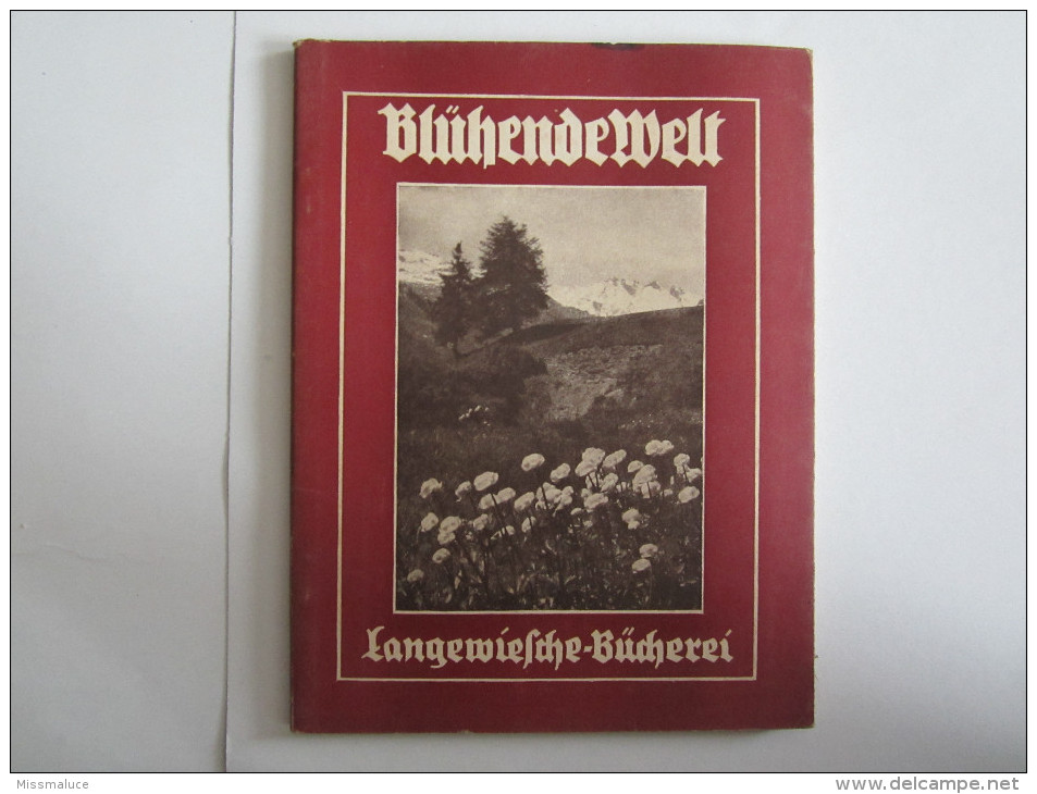Allemagne Livre Bluhendewelt - Deutschland Gesamt