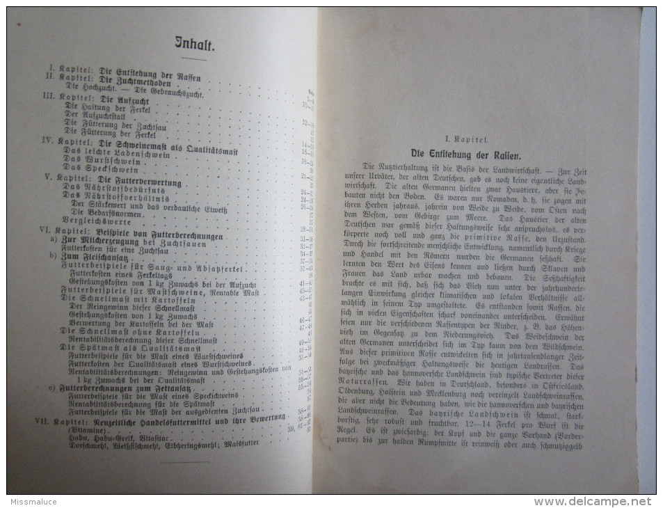 Allemagne Livre Schweinehaltung Und Qualitatsmaft Arnold Beffer Berlin - Germany (general)