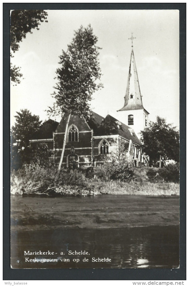 CPA - MARIEKERKE A. SCHELDE - Kerk Gezien Van Op De Schelde - CPSM 1959  // - Bornem