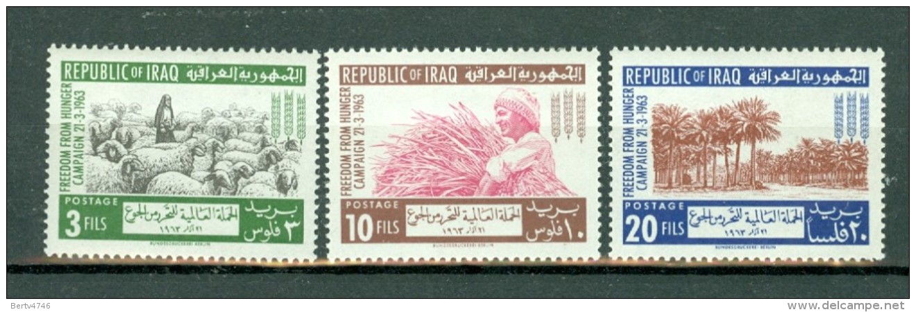 Irak 1963 Yv 351/53**, SG 636/38** Freedom From Hunger  MNH - Iraq