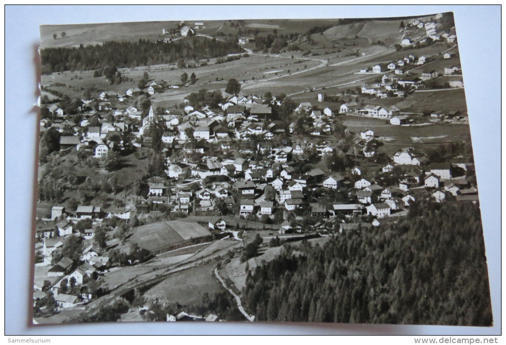 (9/1/56) AK "Bodenmais" Luftkurort Im Bayer. Wald, Blick Vom Silberberg - Bodenmais