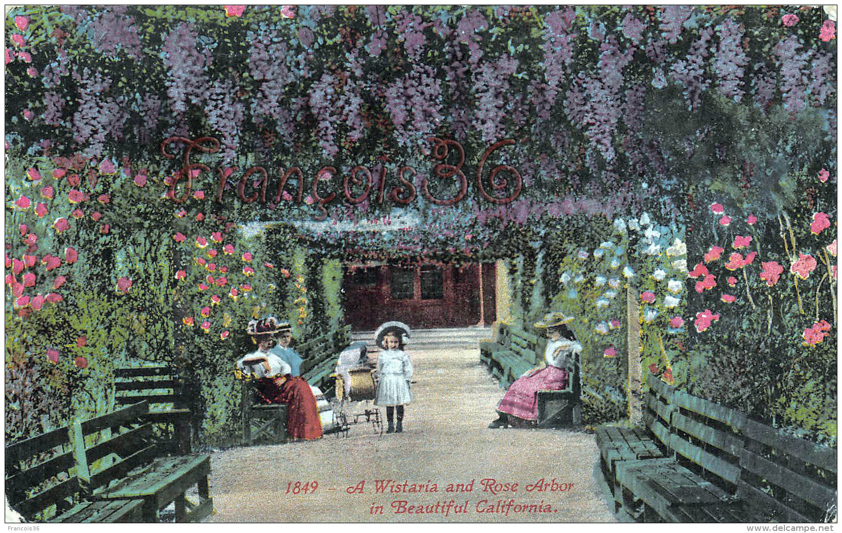 California - A Wistaria And Rose Arbor In Beautiful California - 2 SCANS - Oakland