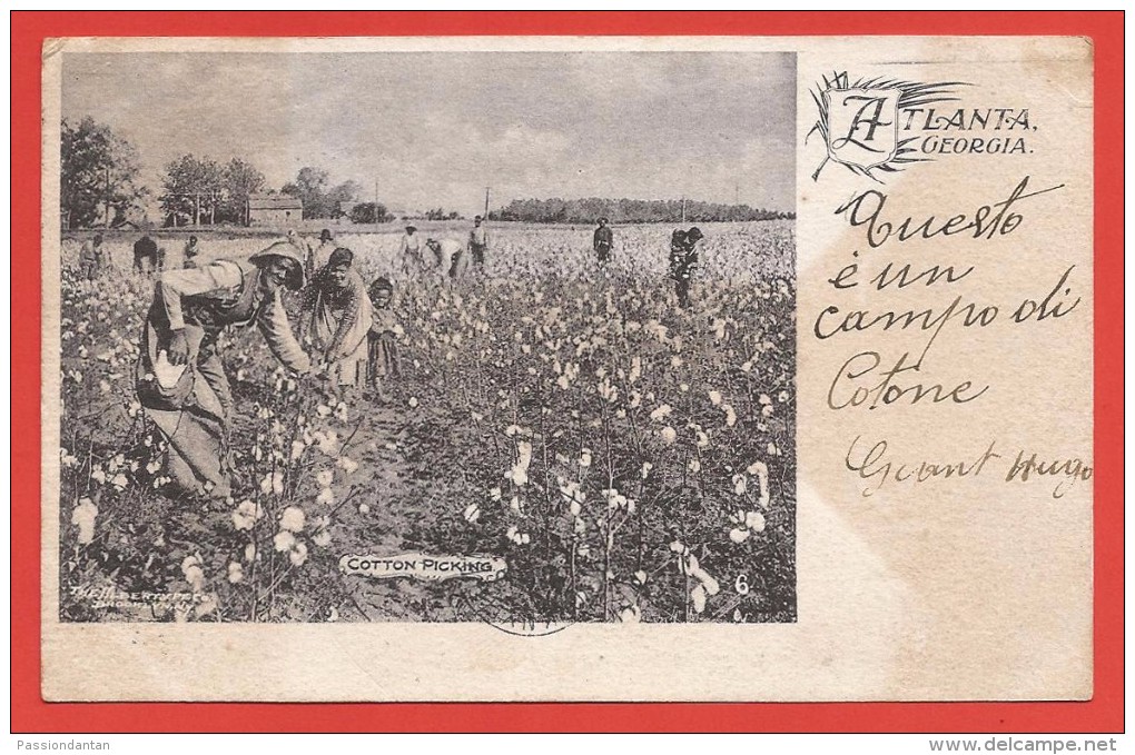 CPA États Unis - Post Card - Atlanta Georgia - Cotton Picking - Atlanta