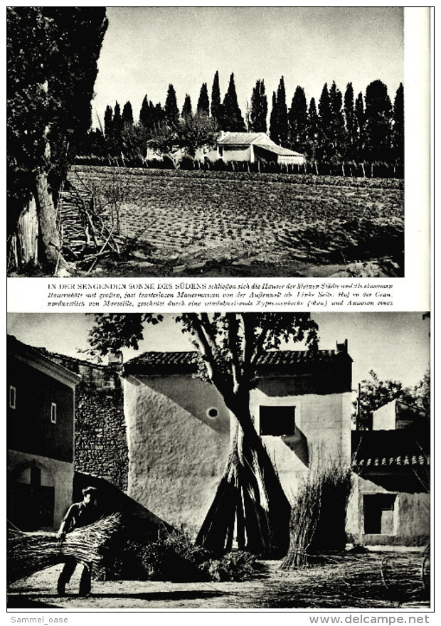 Merian Illustrierte - Die Provence , Alte Bilder 1955  -  Provenzalische Damen  -  In Der Salzwildnis - Viaggi & Divertimenti