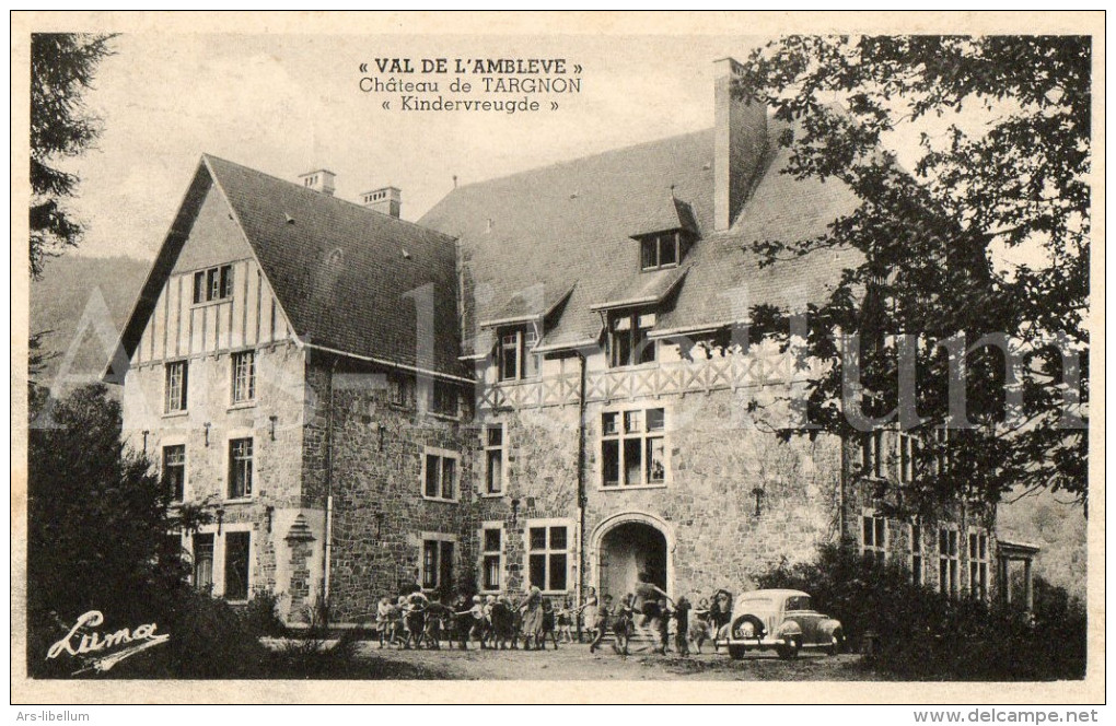 Postcard / CP / Château De Targnon / Val De L'Ambleve / Kindervreugde / Ed. Luma / 1953 - Stoumont