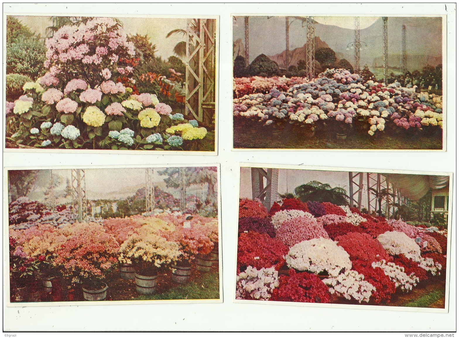 Gent Gand Exposition Universelle 1913 Floralies ( 8 Kaarten ) - Gent