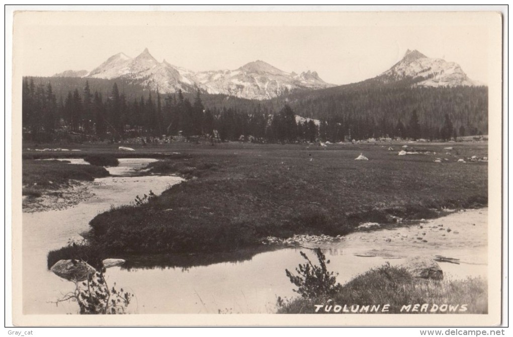 Tuolumne Meadows, RPPC Real Photo Postcard [17389] - Yosemite