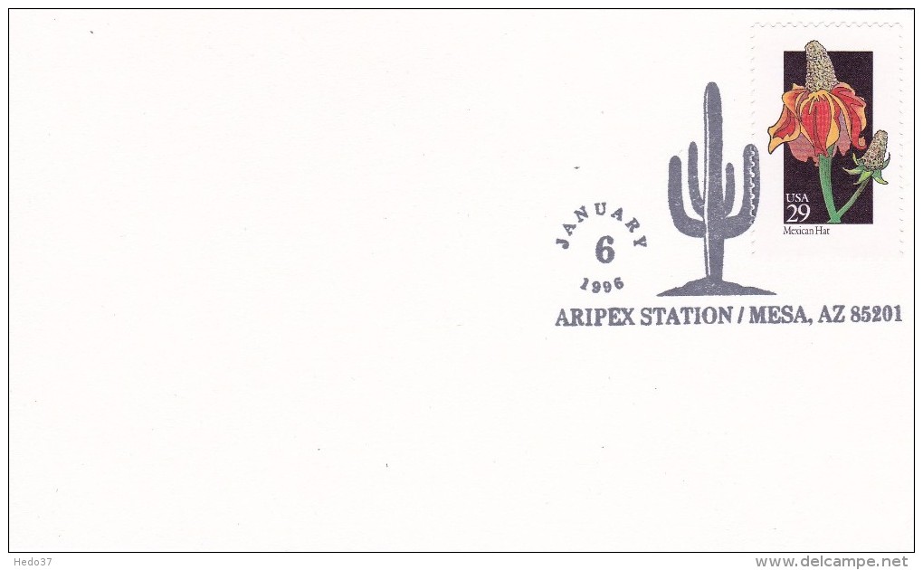 Cactus - Enveloppe - Carte - Document - Cactusses