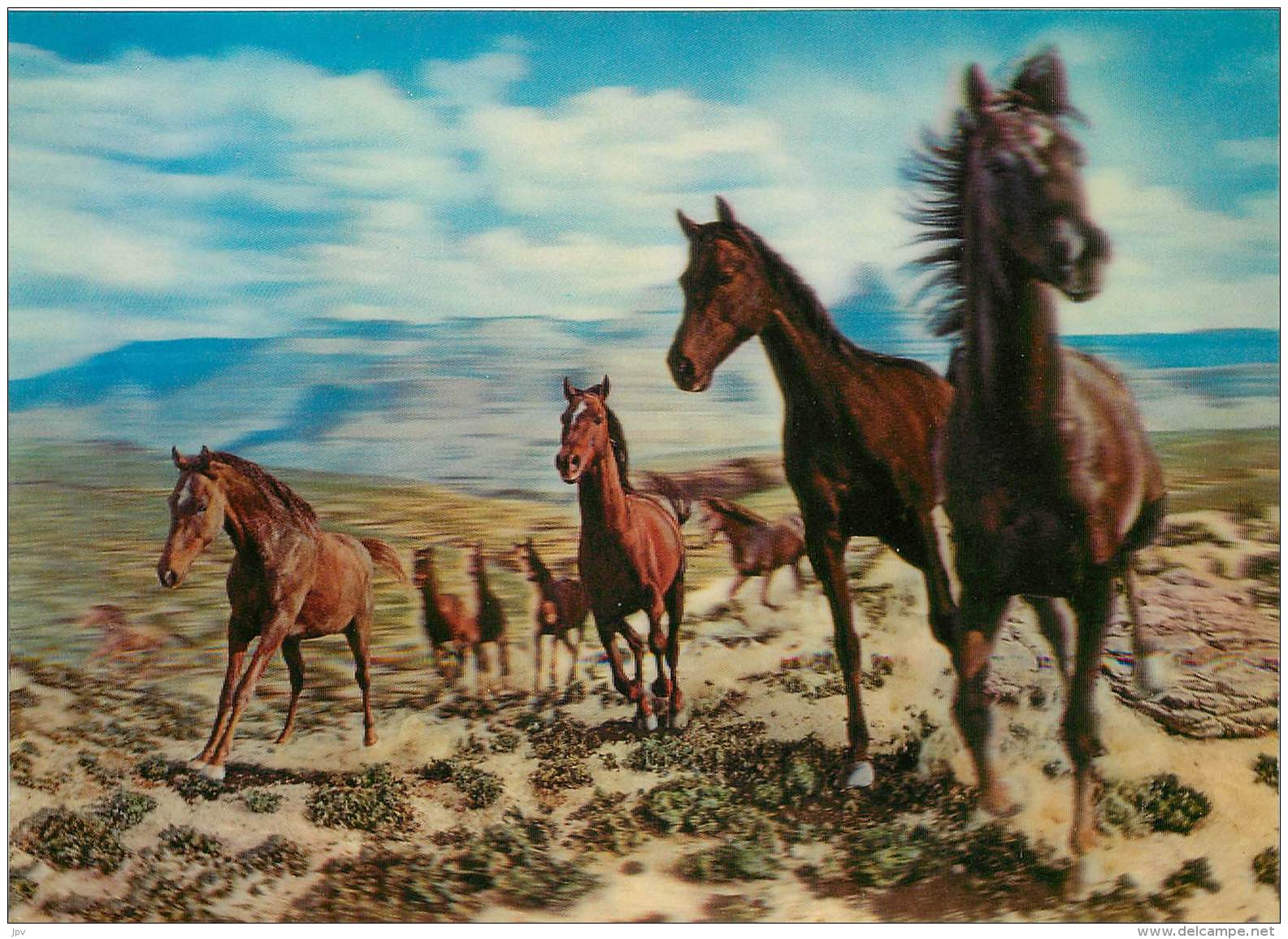 HORSES - CHEVAUX . CARTE TOPPAN TOP STEREO. - Mechanical