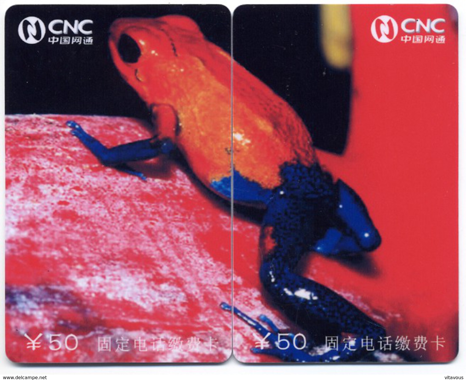 Puzzle Grenouille Frog  Frosch Rana 2 Télécartes Phonecard CHINE P09 - Chine