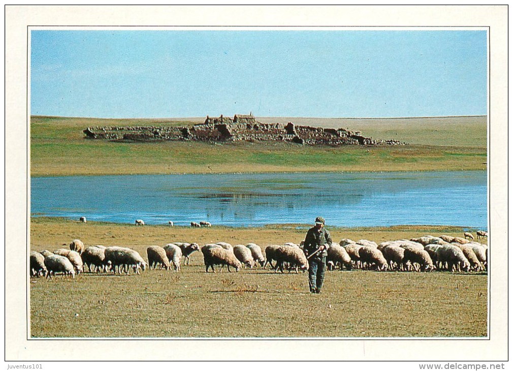 CPSM Mongolie-La Steppe     L2102 - Mongolie