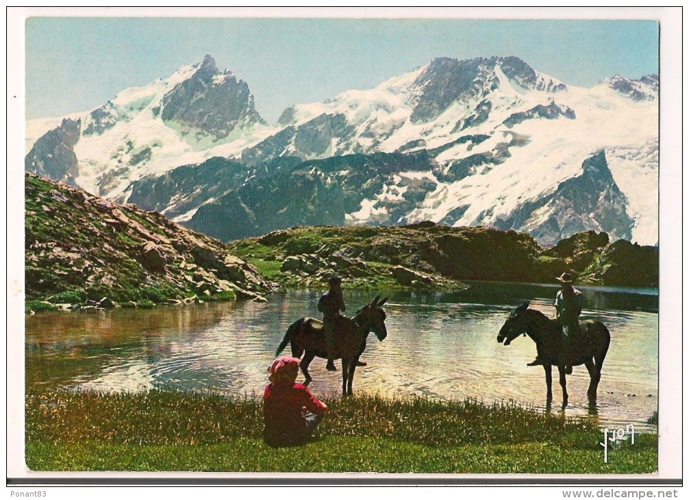 >> 05 - Environs De La GRAVE : Lac Lérié Dominé Par La Meije Et Le Rateau Vus Du Plateau D'Emparis - Cavaliers - Yvon - - Autres & Non Classés