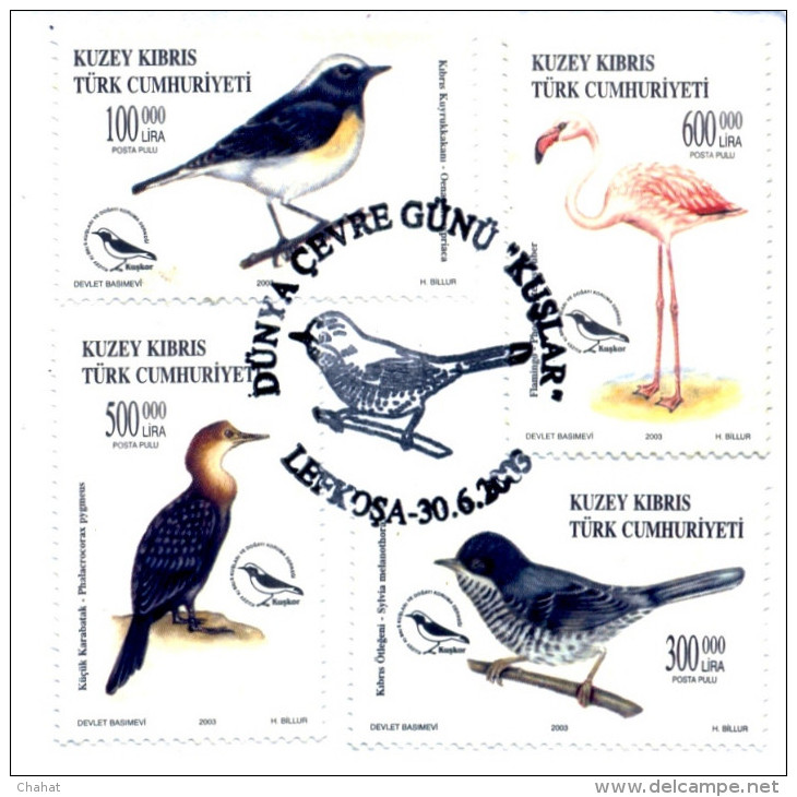 BIRDS-FLAMINGOS-ERROR-FDC-NORTHERN TURKISH CYPRUS-2003-SCARCE-D3-17 - Flamants