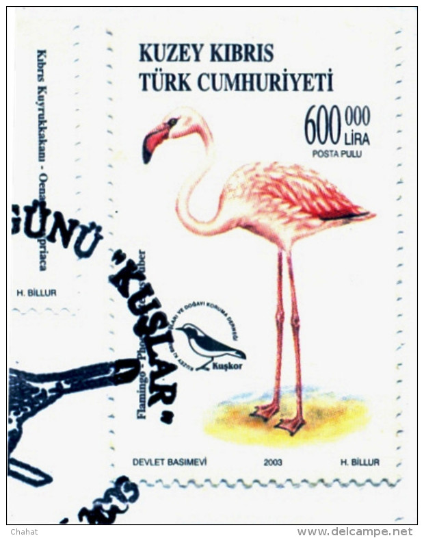 BIRDS-FLAMINGOS-ERROR-FDC-NORTHERN TURKISH CYPRUS-2003-SCARCE-D3-17 - Flamingo