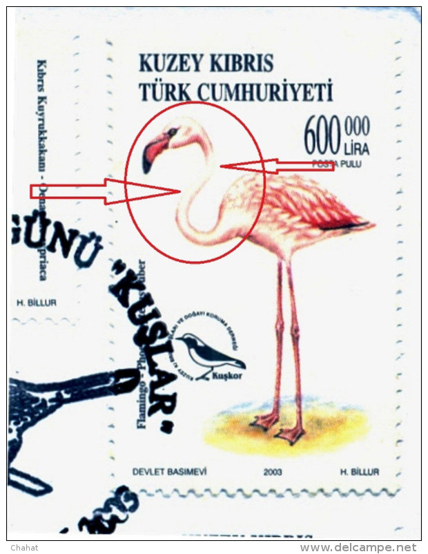 BIRDS-FLAMINGOS-ERROR-FDC-NORTHERN TURKISH CYPRUS-2003-SCARCE-D3-17 - Flamingo