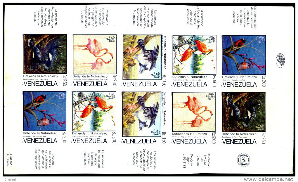 BIRDS-FLAMINGOS-ERROR-IMPERF SHEETLET-VENEZUELA-RARE-MNH-D3-19 - Flamants