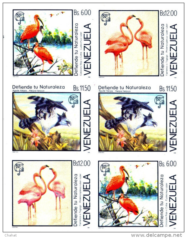 BIRDS-FLAMINGOS-ERROR-IMPERF SHEETLET-VENEZUELA-RARE-MNH-D3-19 - Flamants