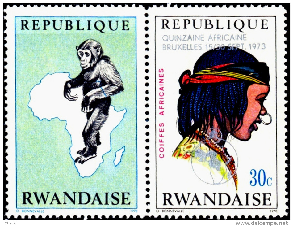 CHIMPANZEE-LABEL WITH STAMP-OVERPRINT-AFRICAN COIFFURES-FORTNIGHT AFRICAN BRUSSELS-RWANDA-1970-MNH-SCARCE-D3-22 - Schimpansen