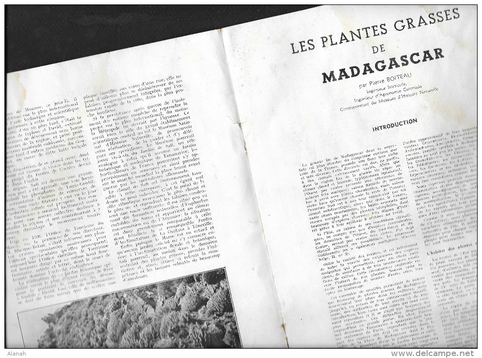 "CACTUS" Revue De 1947 Pour Les Amateurs De Cactées Et Plantes Grasses - Jardinage