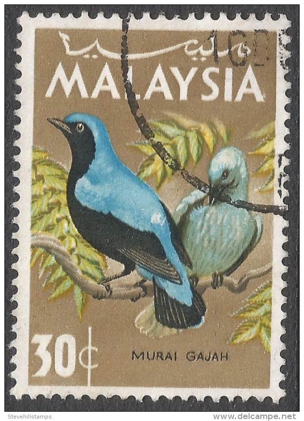 Malaysia. 1965 Birds. 30c Used. SG 21 - Malasia (1964-...)