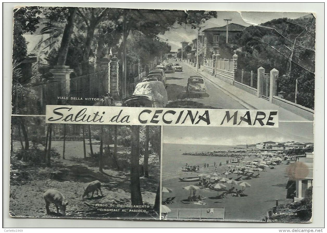 SALUTI DA CECINA MARE   VIAGGIATA FG MANCA F.BOLLO - Livorno