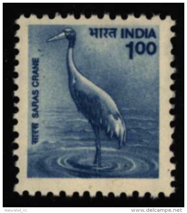 India Inde Indien 2000 ** MNH. Sarus Crane Grue Antigone Saruskranich - Kranichvögel
