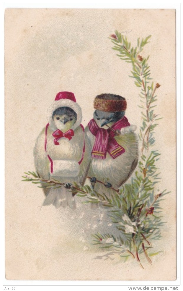 Artist Image Birds Dressed As People Winter Snow Scene, C1900s/10s Vintage Postcard - Vögel