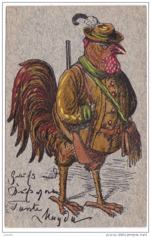 Artist Image Bird Dressed As Hunter With Gun, C1900s Vintage Postcard - Birds